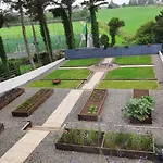 The Rebel Yew *
