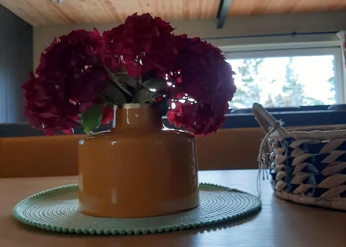 The Rebel Yew Vakantiehuis *