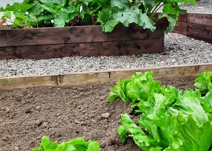 Дом отдыха The Rebel Yew Killala