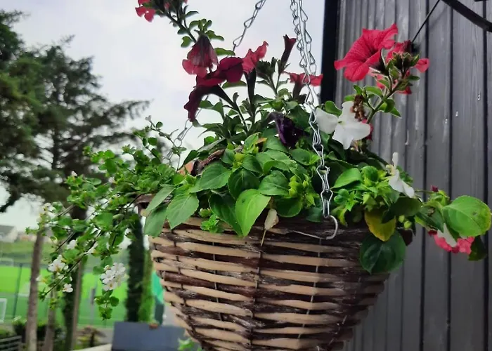 The Rebel Yew Дом отдыха