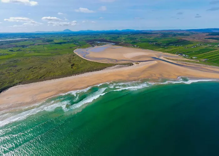 The Rebel Yew * Killala