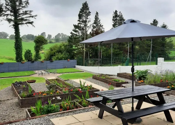 The Rebel Yew Killala